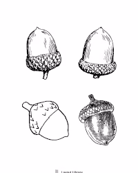 Free Printable Acorn Patterns Screenshot 2