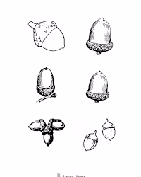 Free Printable Acorn Patterns Screenshot 4
