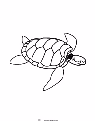 Free Printable Turtle Template Screenshot 1