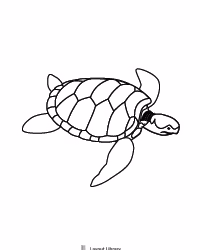 Free Printable Turtle Template Screenshot 1