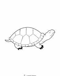 Free Printable Turtle Template Screenshot 9