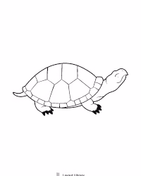 Free Printable Turtle Template Screenshot 9