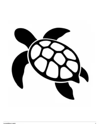 Free Printable Turtle Pumpkin Stencils Screenshot 02